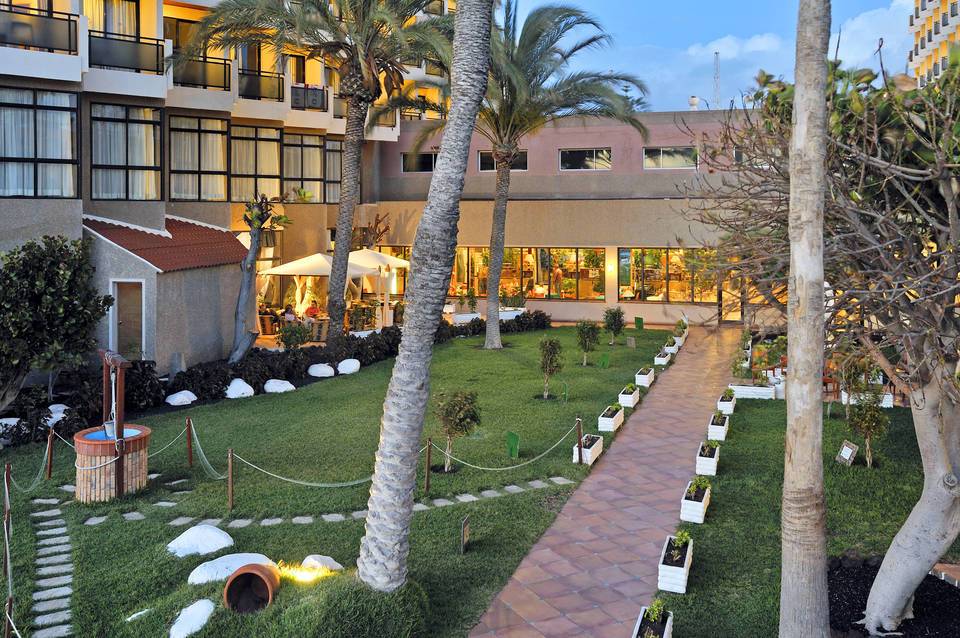 SOL Tenerife 2