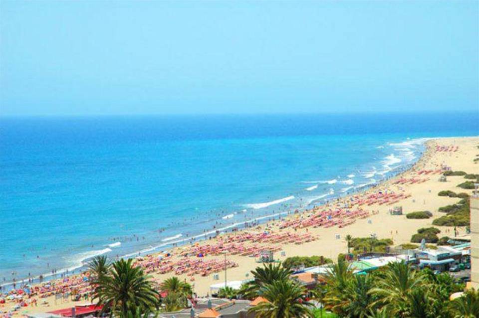 BLUESEA Rey Carlos 1