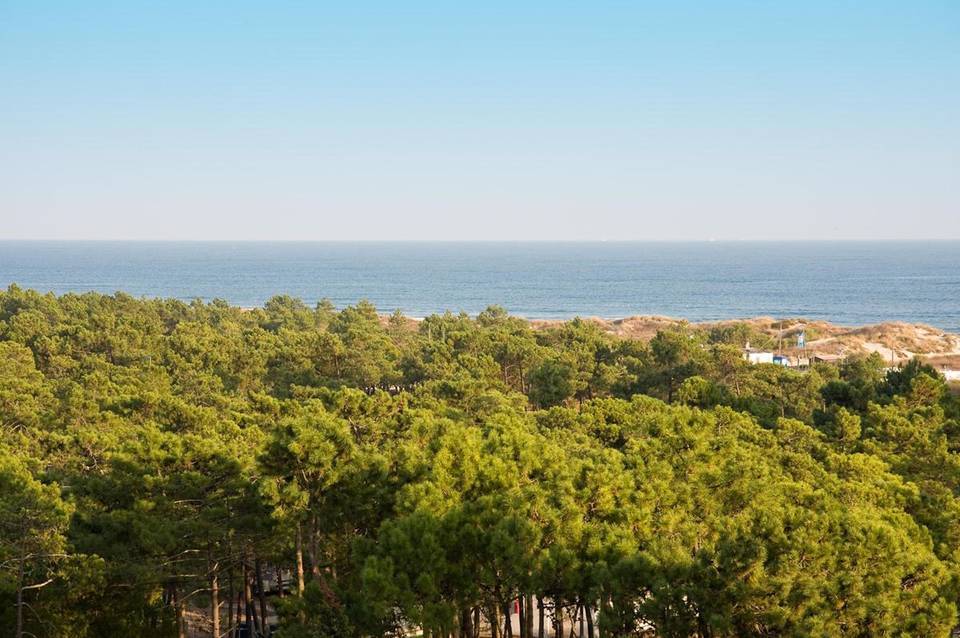 Monte Gordo Hotel Apartamentos & Spa 5