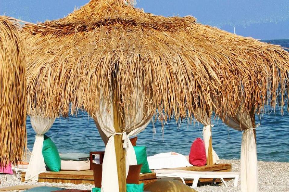 Emelda Sun Club 4