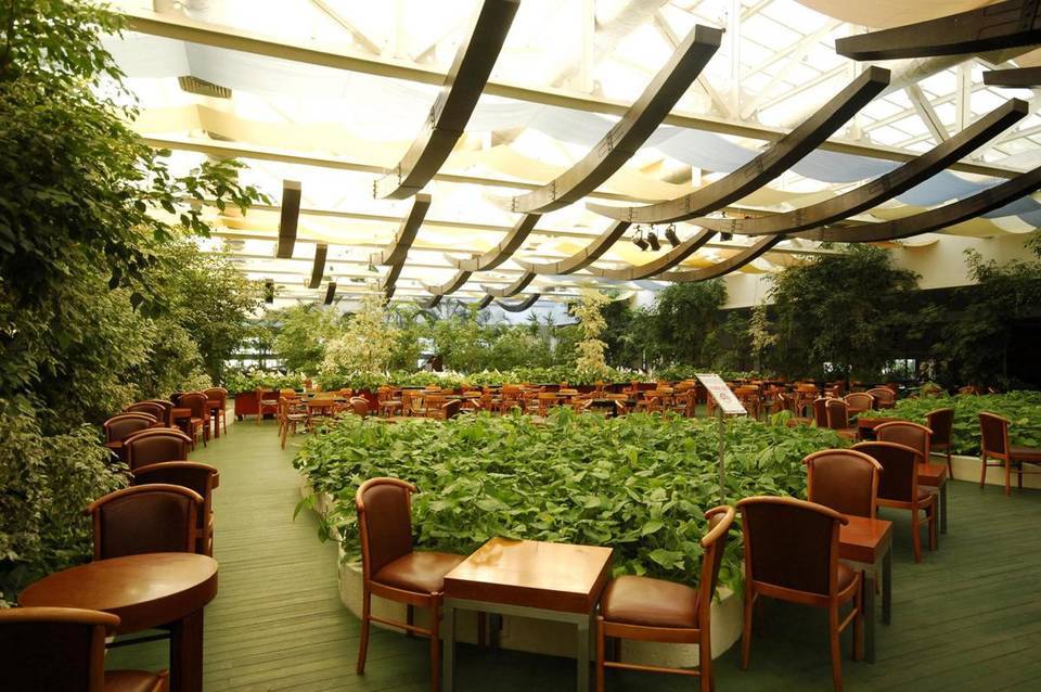 Washington Resort Hotel & SPA 5