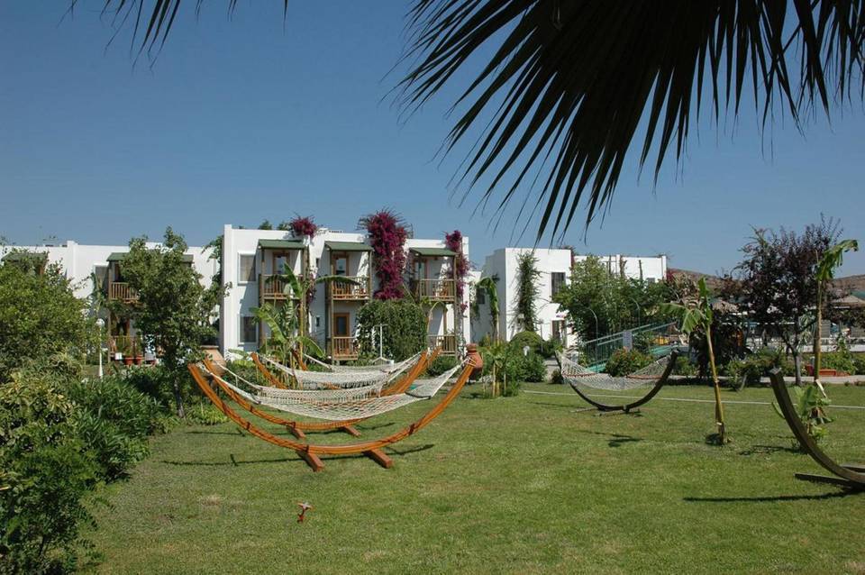Parkim Ayaz 3
