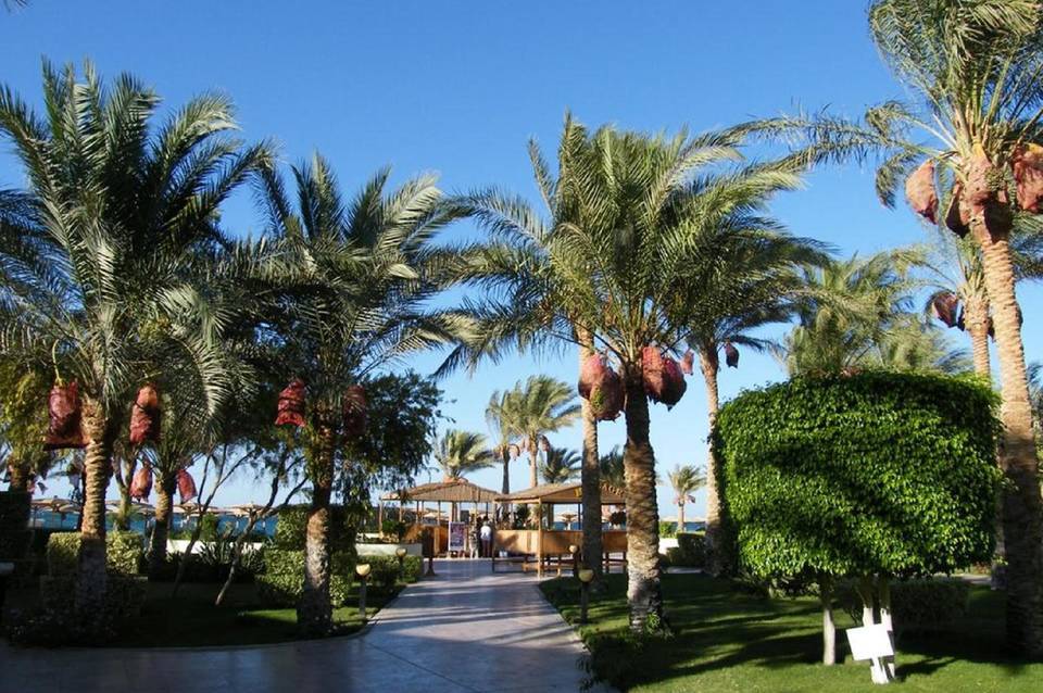 Palm Beach Resort 2