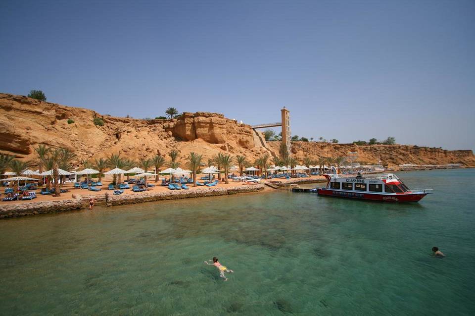 Albatros Sharm Resort 5