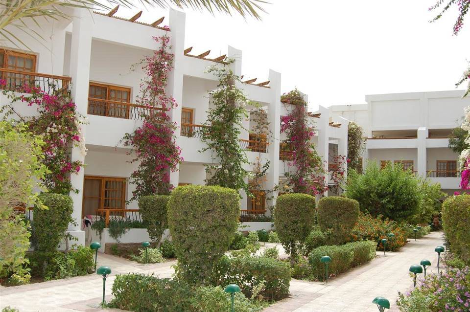Menaville Safaga 4