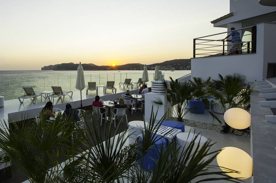 Sentido Fido Punta del Mar 5