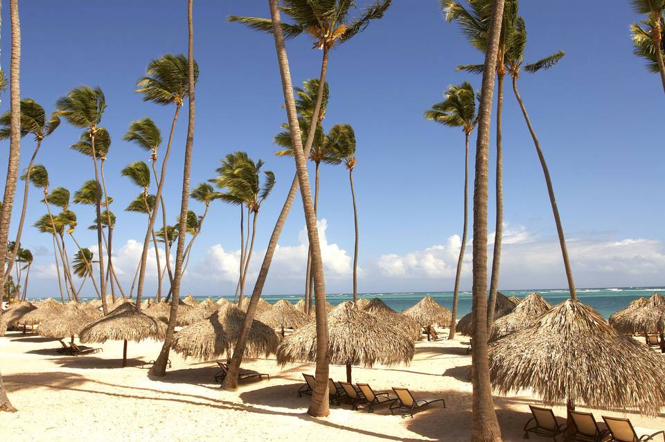 Zel Punta Cana - All Suites 3