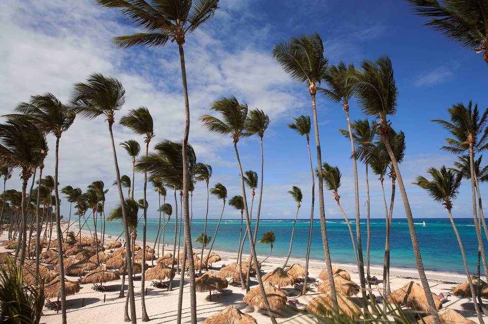 Zel Punta Cana - All Suites 1