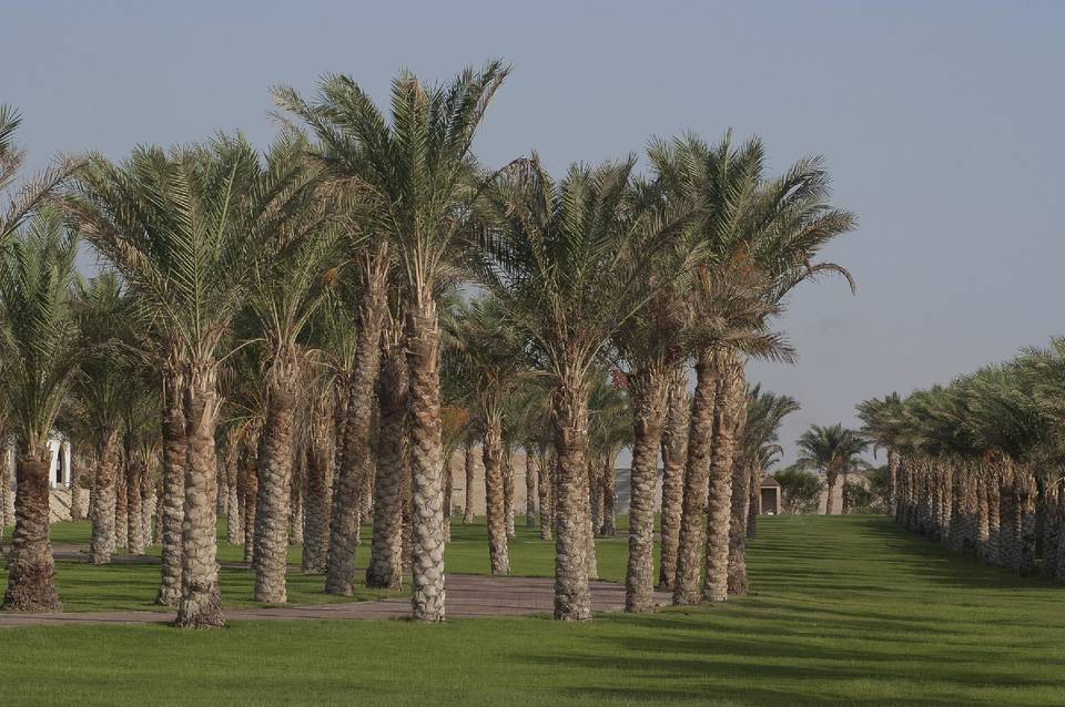Old Palace Resort Sahl Hasheesh 2