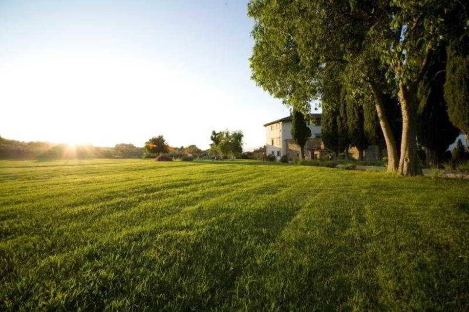 Villa Campestri Olive Oil Resort 1