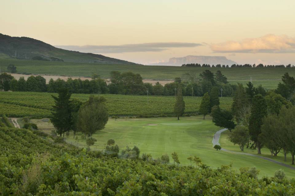 Devonvale Golf & Wine Estate 3