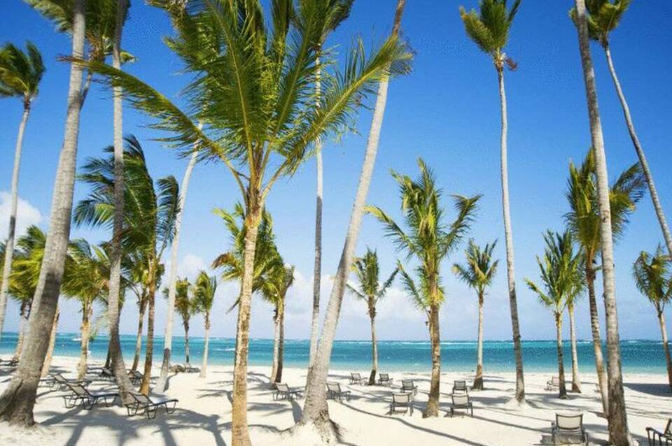 Dreams Royal Beach Punta Cana 3