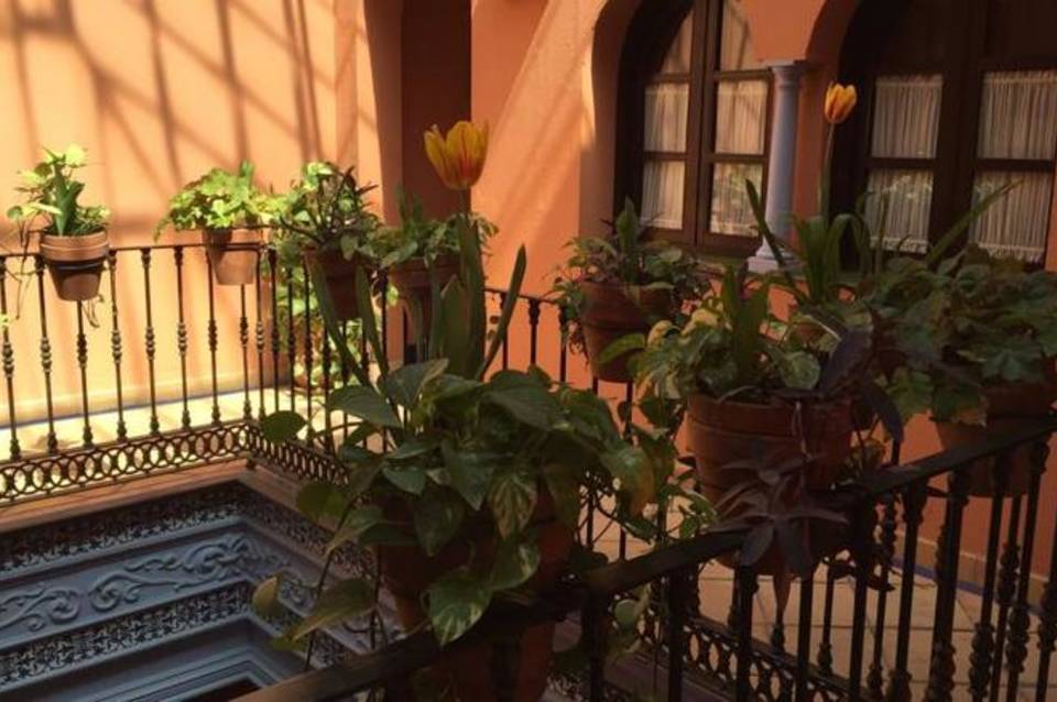 Hotel Patio de la Alameda 5