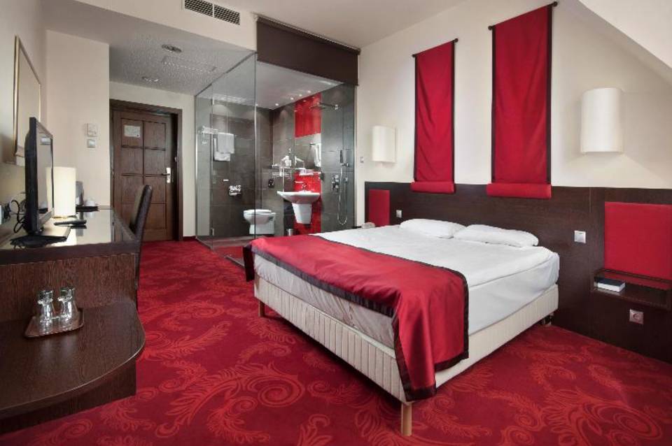 Rubin Wellness & Conference Hotel  1