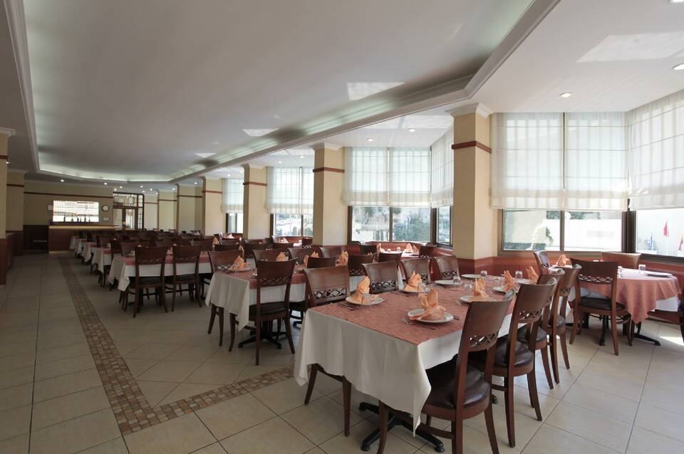 Palm Hotel 1