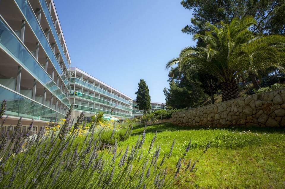 Hotel Aurora 5