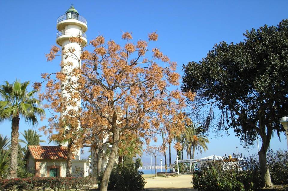 BQ Andalucía Beach Hotel 5