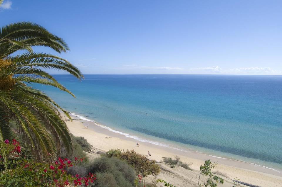 SBH Hotel Club Paraiso Playa 5