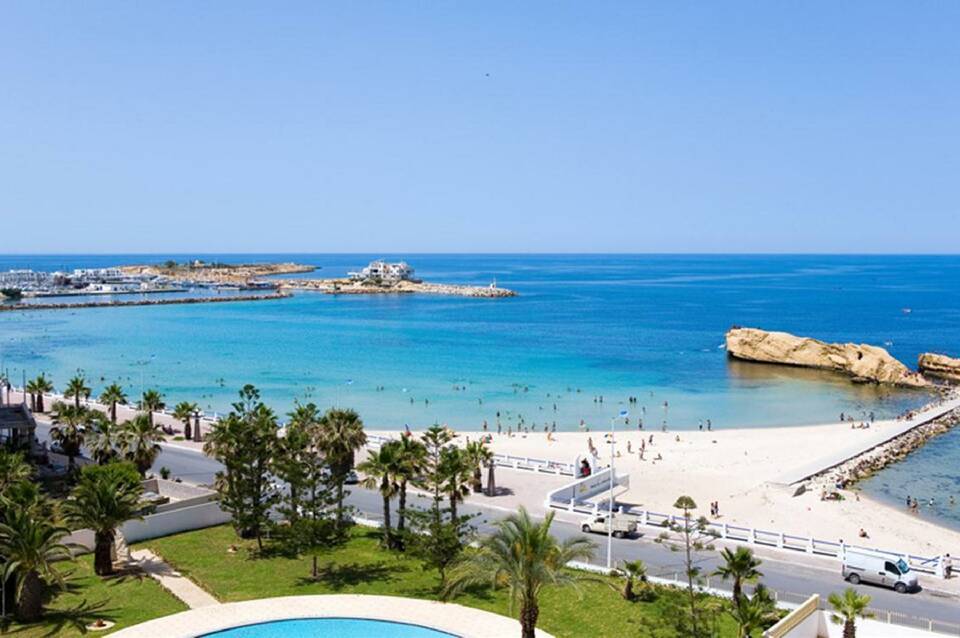 Delphin El Habib 1