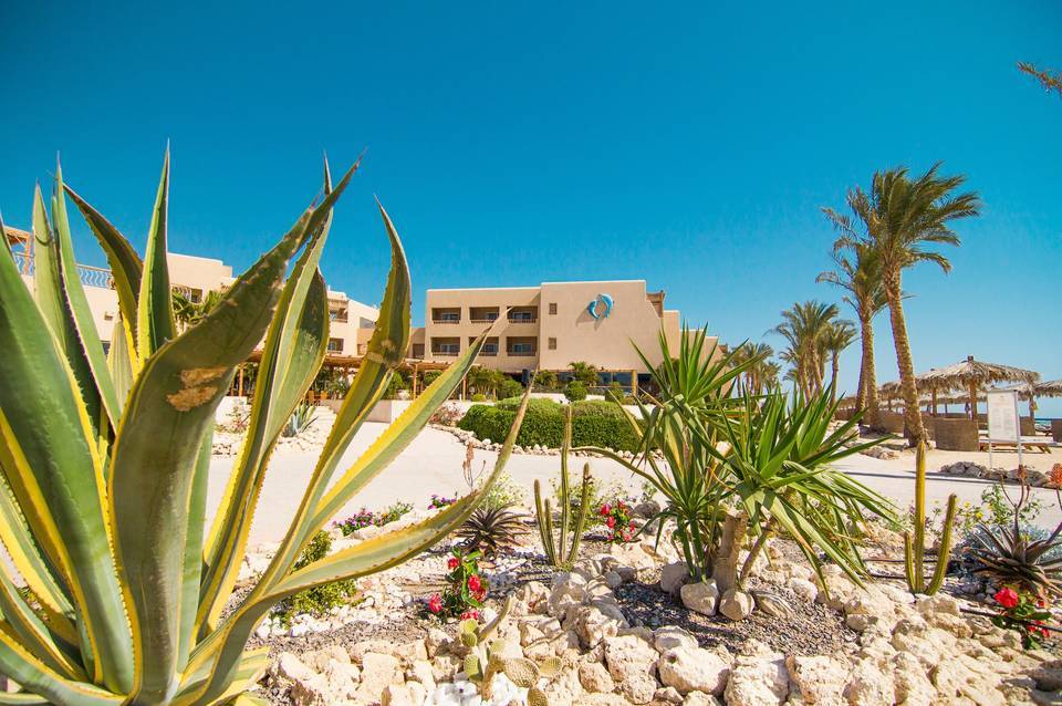The Breakers Diving & Surfing Lodge 3