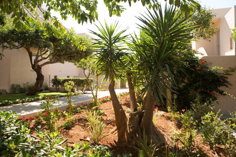 Sundance Apartments & Suites 4