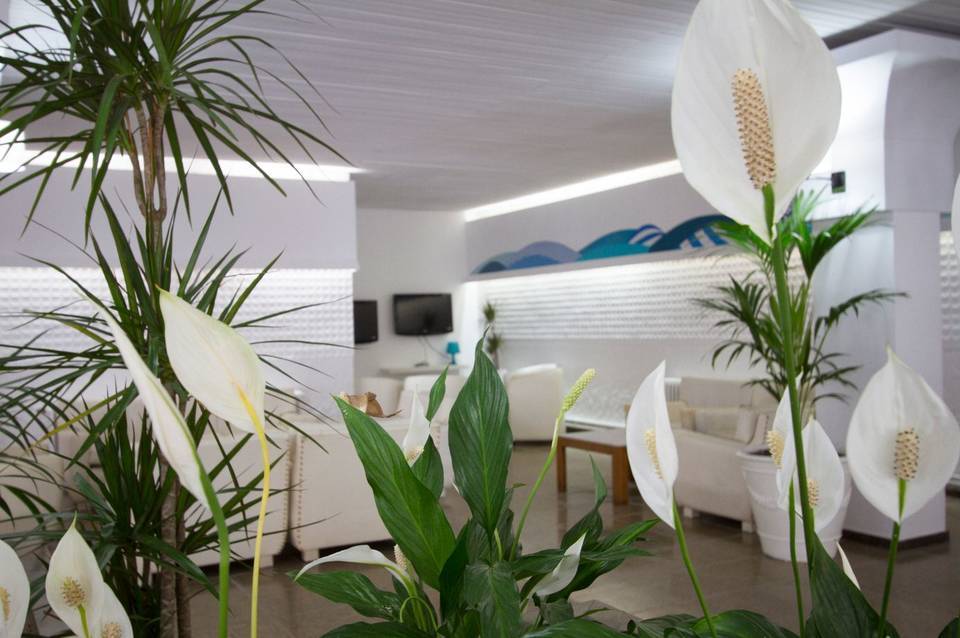 Hotel Villa Garbí 5