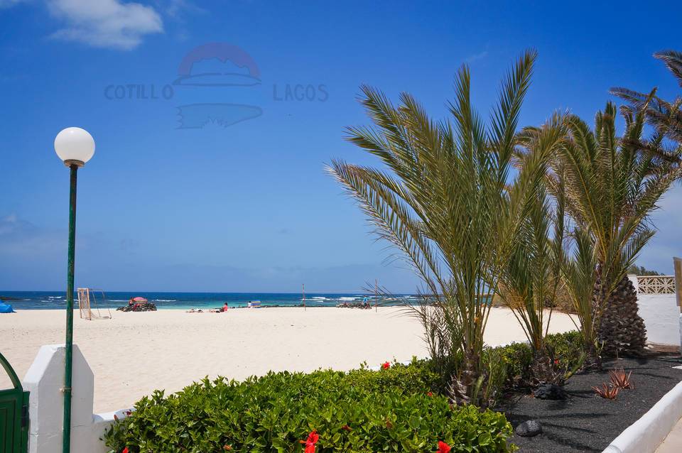 Cotillo Lagos 1