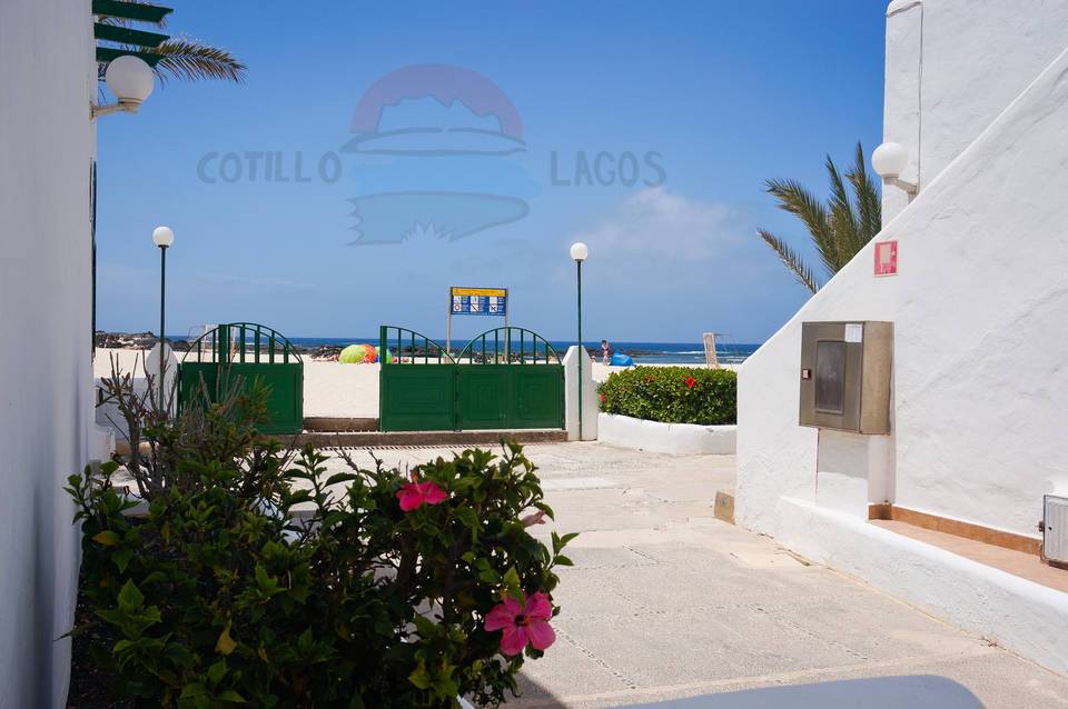 Cotillo Lagos 3