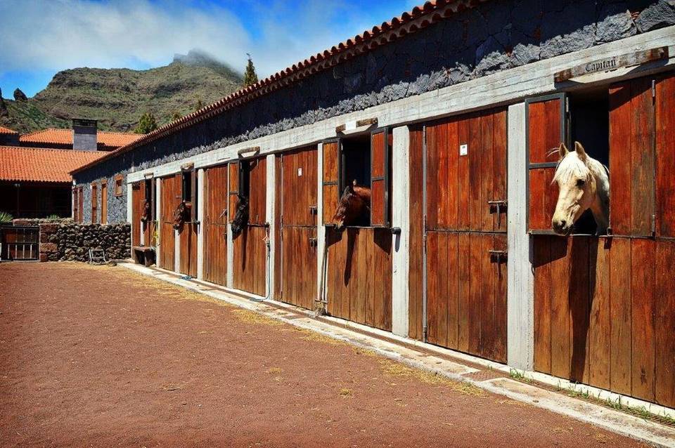 La Casona del Patio Hotel 5