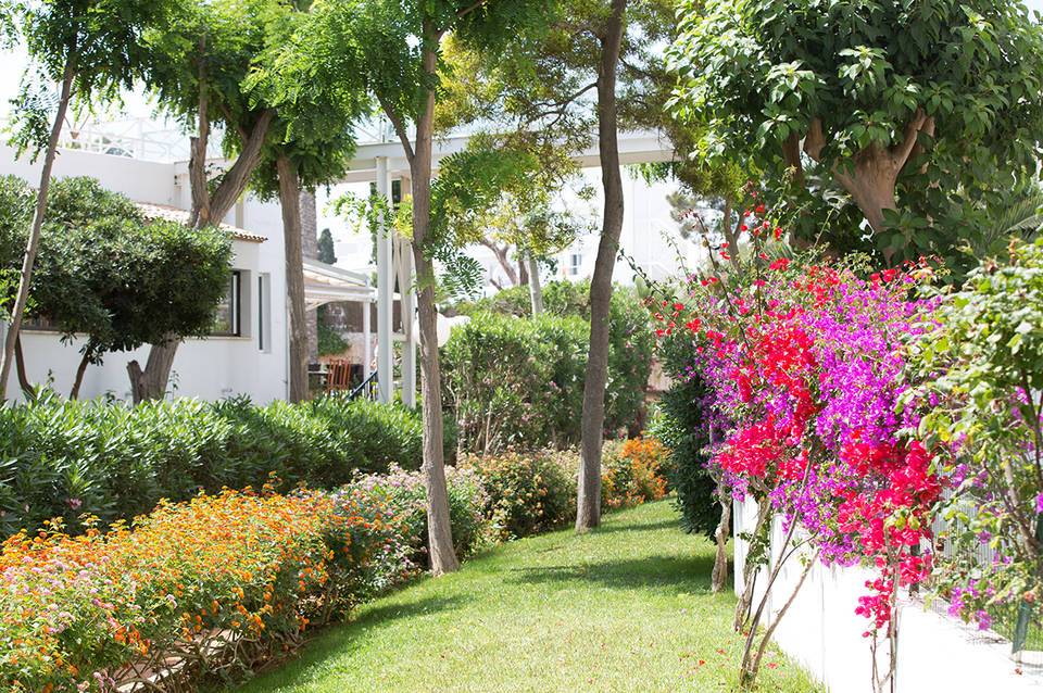 Gavimar Cala Gran Costa del Sur Hotel inkl. Mietwagen  3