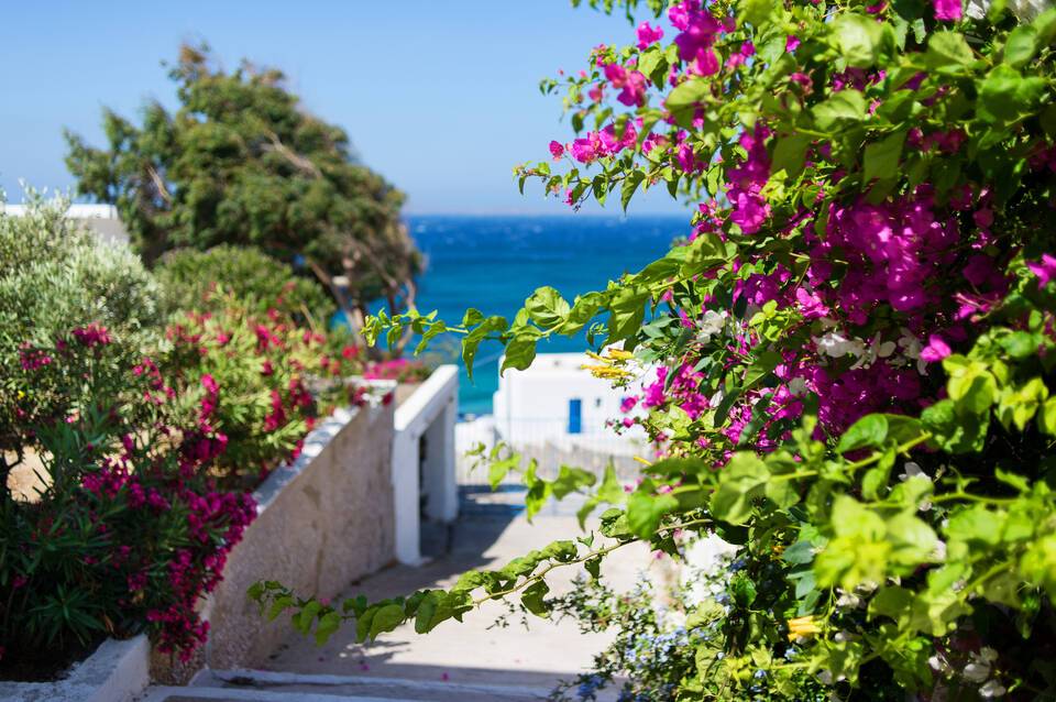 Alkistis Hotel Mykonos 1