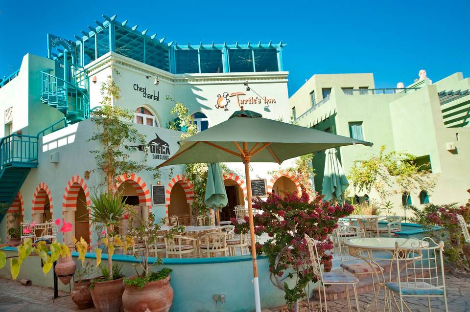 Turtle's Inn 1