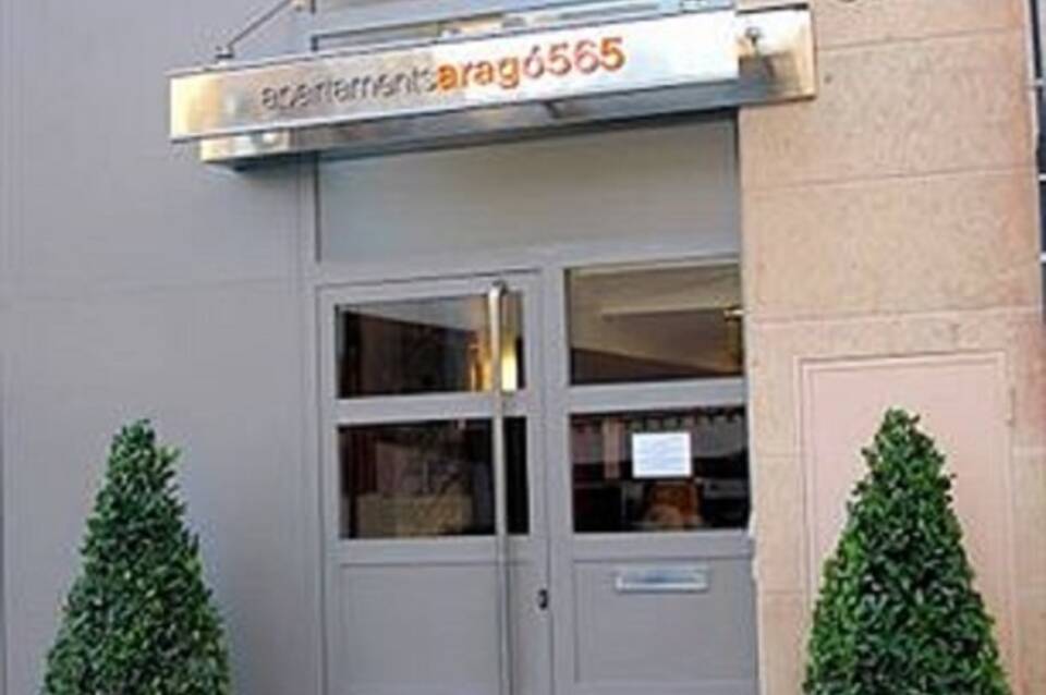Arago 565 1