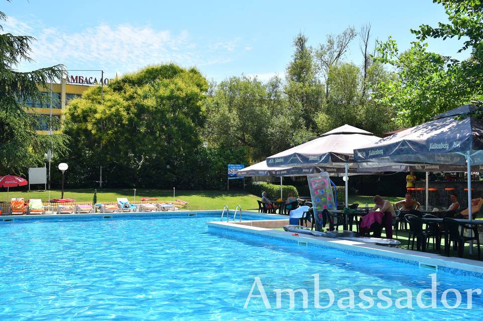 Ambassador 1