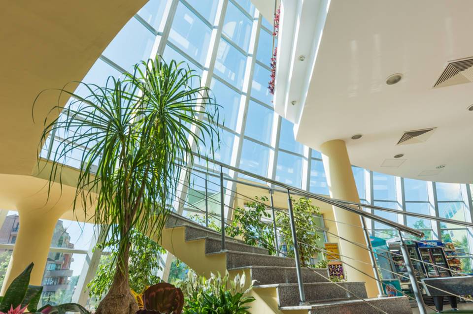 Hotel Ivana Palace 2