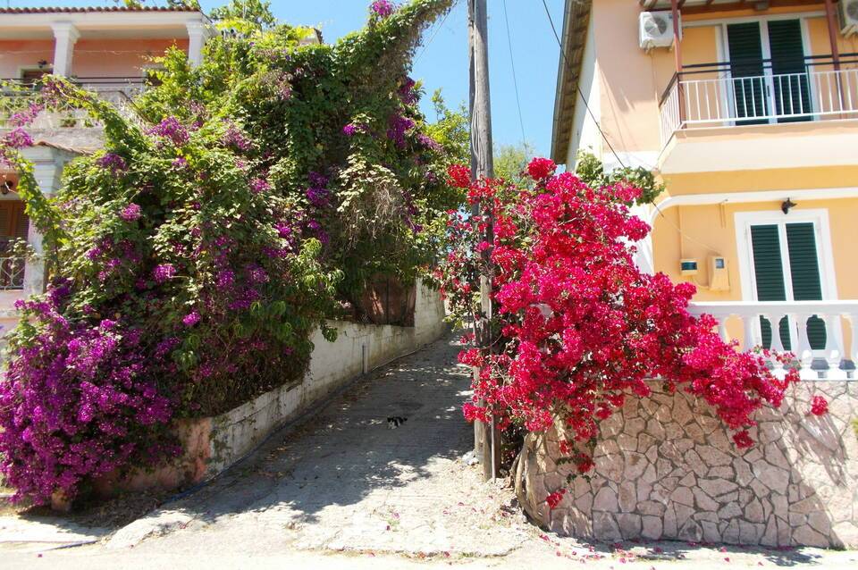 Kavos Fantasia Complex 4