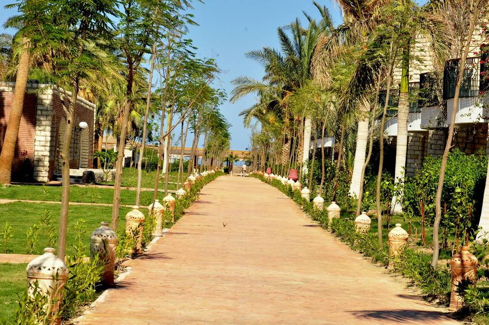 Aladdin Beach Resort 3