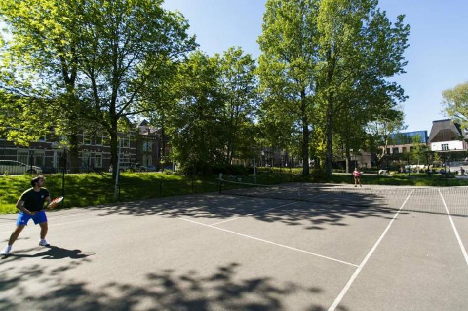 Arena 3