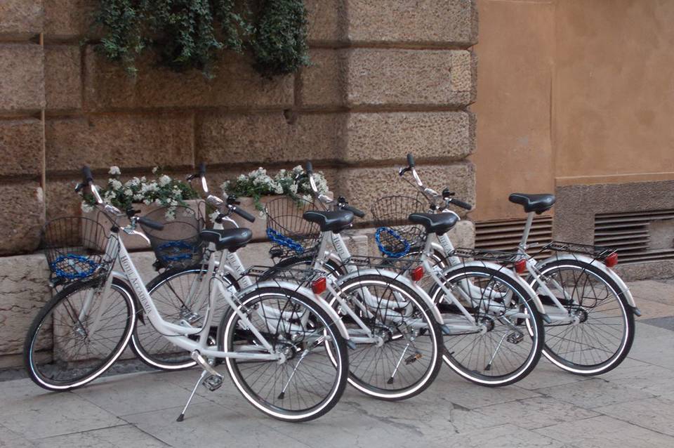 Accademia 4