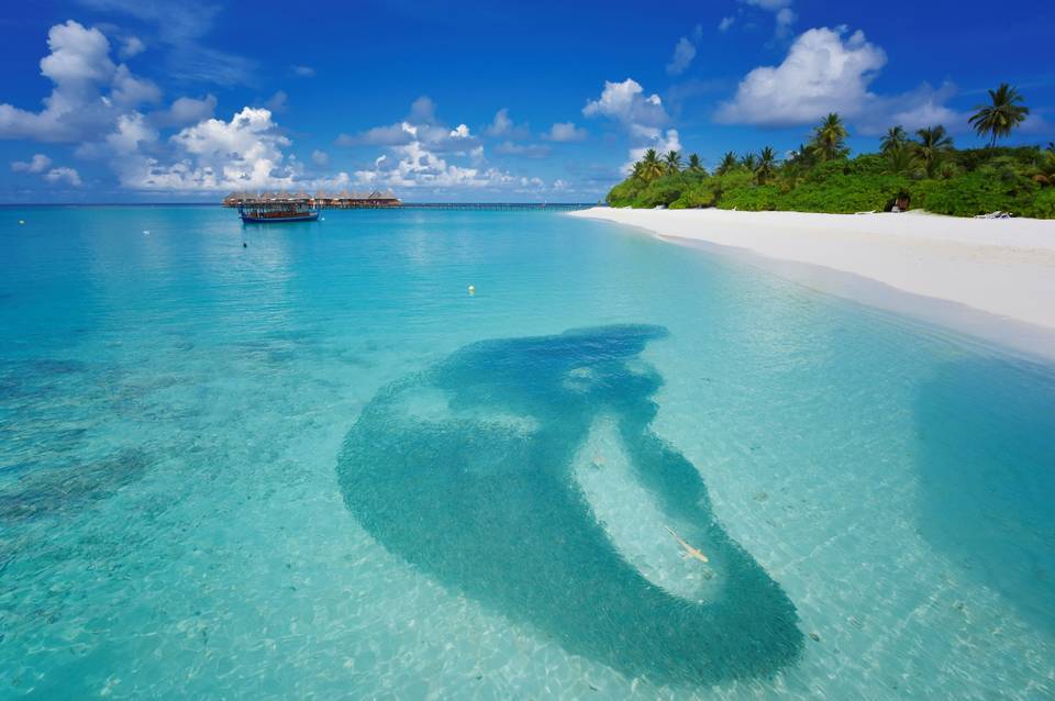 Angaga Island Resort & Spa 2