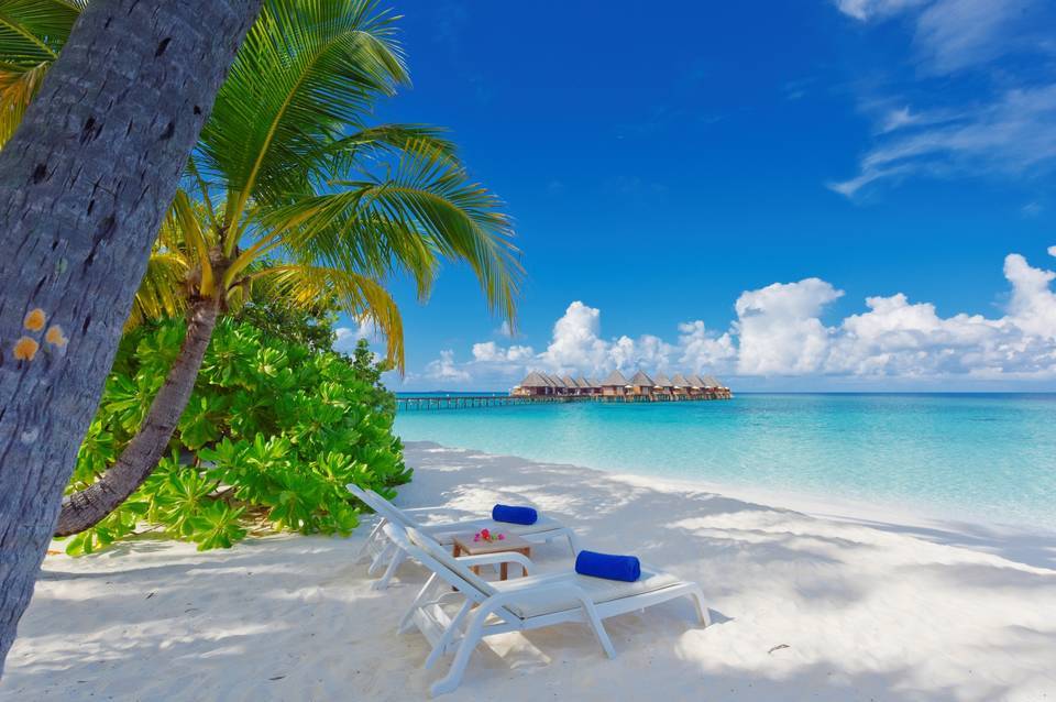 Angaga Island Resort & Spa 1