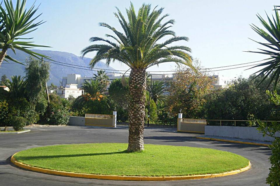 Livadi Nafsika Hotel 4