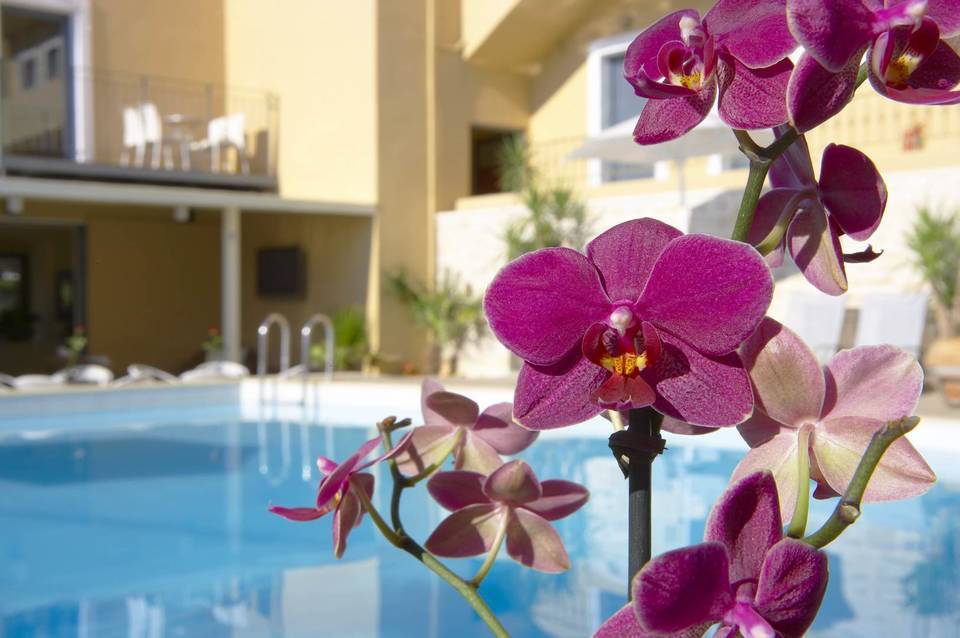 La Stella Suites 2