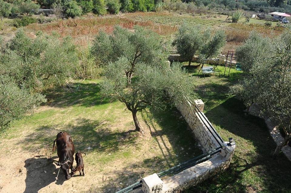 Ammos Villas 5
