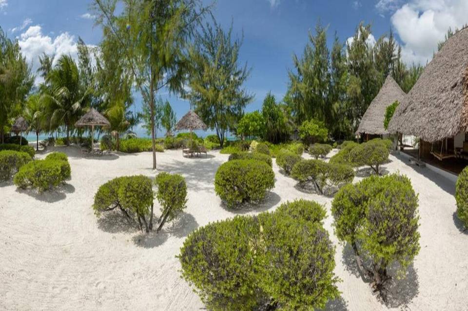 Hakuna Majiwe Zanzibar 2