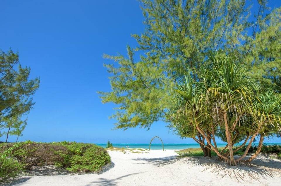 Hakuna Majiwe Zanzibar 5
