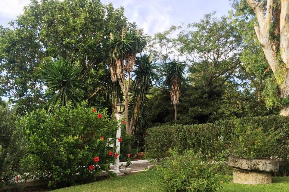 Cortijo Fontanilla 5