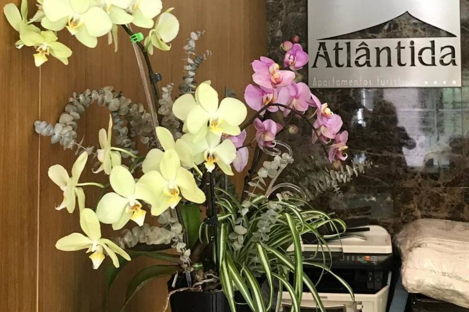 Atlântida Apartamentos Turisticos 5
