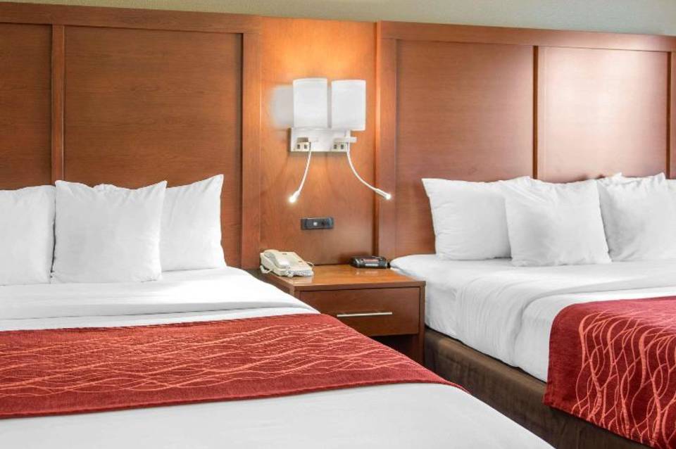 Comfort Inn & Suites San Francisco Airport North 2