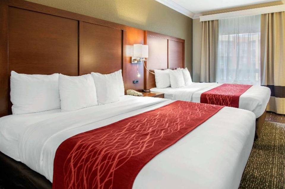 Comfort Inn & Suites San Francisco Airport North 3